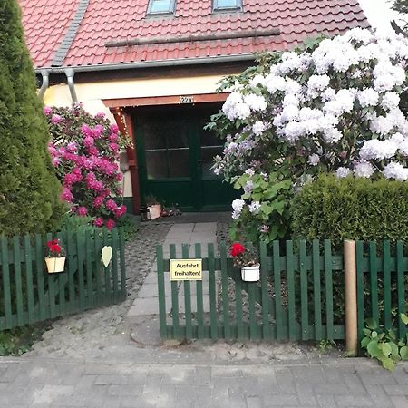 Harzglueck Villa Thale Bagian luar foto