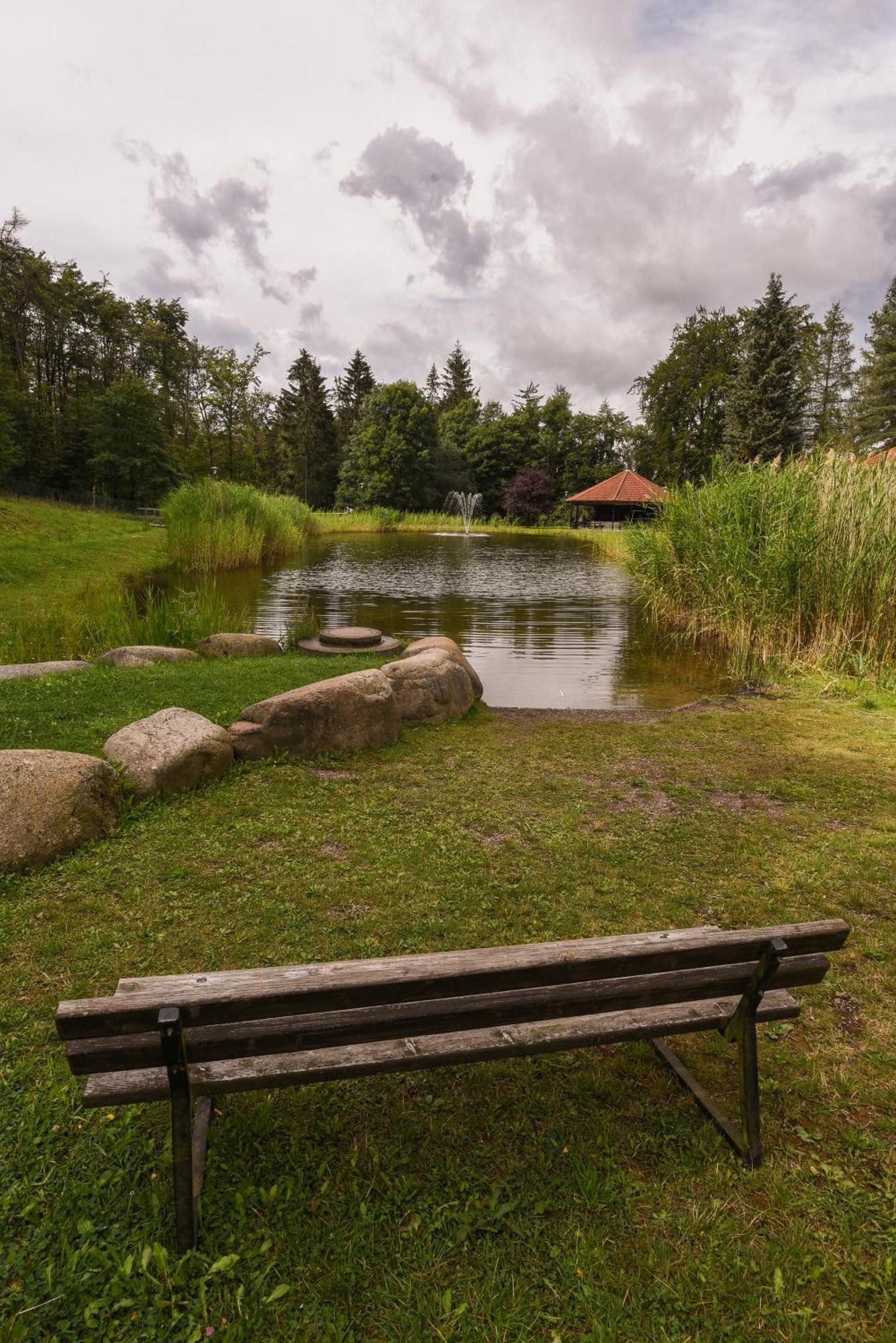 Harzglueck Villa Thale Bagian luar foto