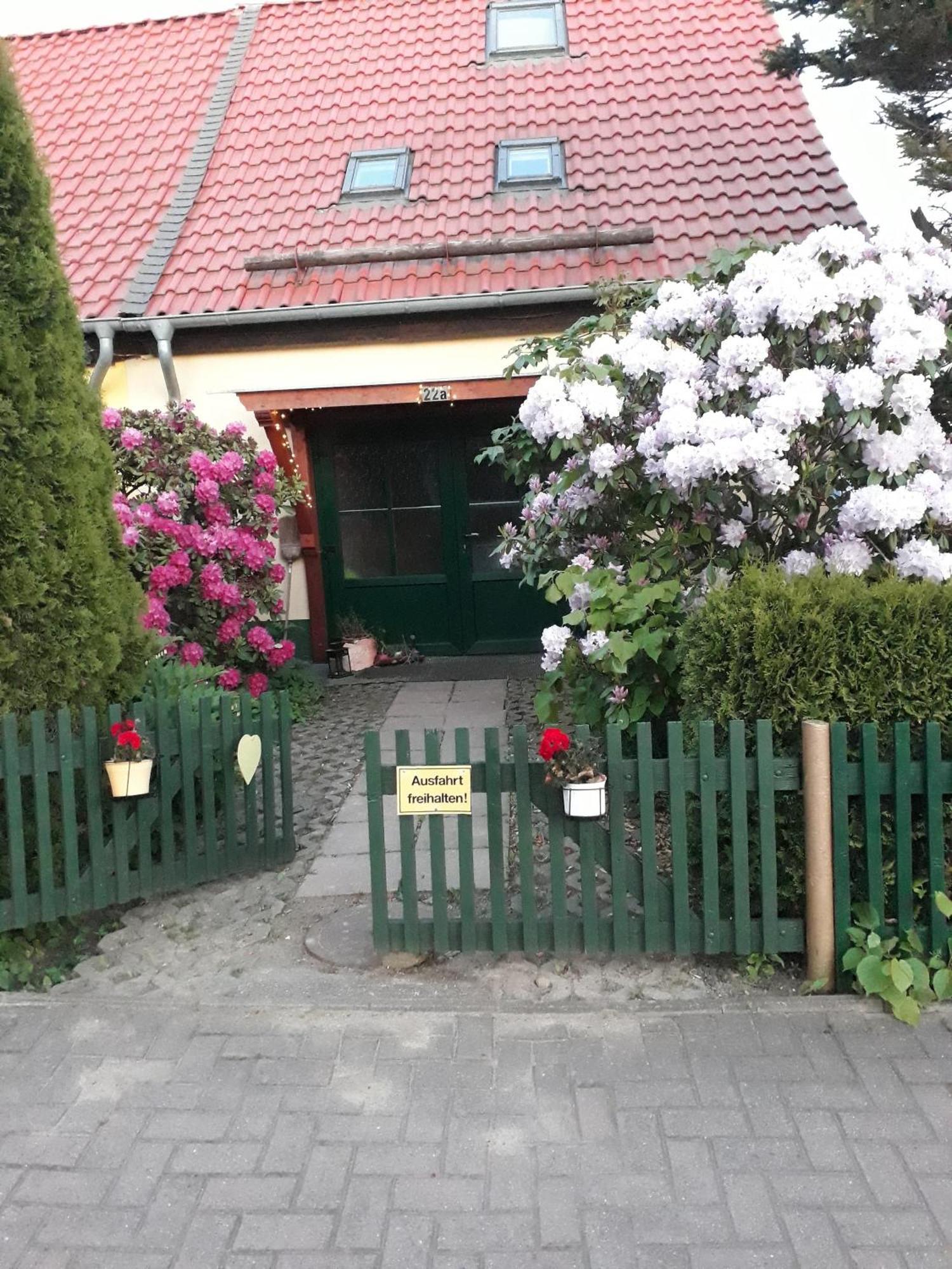 Harzglueck Villa Thale Bagian luar foto